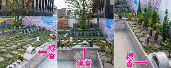 永代供養付き樹木葬の前で線香・供物・供花をお供えしてお参りする