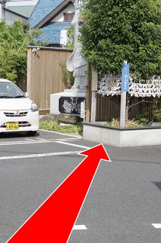 木のパワースポット「蘇りの御神木」の聖木に触れて、自然のパワーを頂戴しましょう