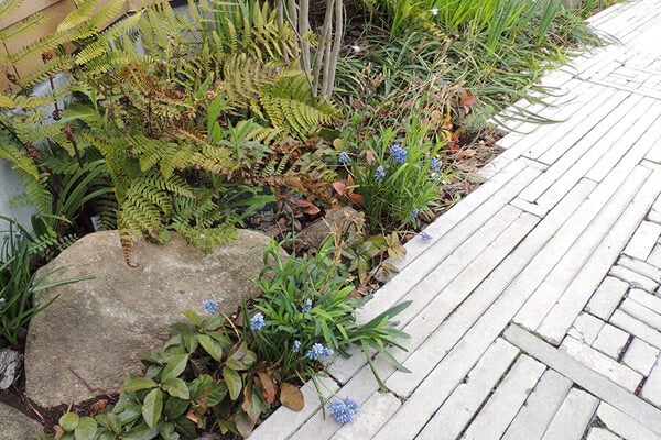 4月の庭園樹木、花