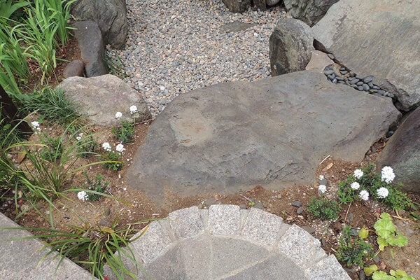 4月の庭園樹木、花