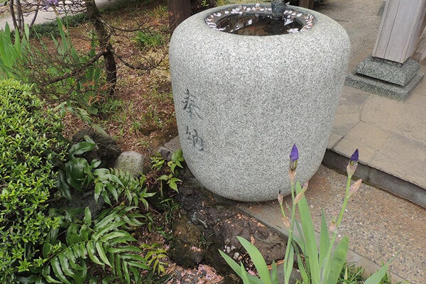 4月の庭園樹木、花