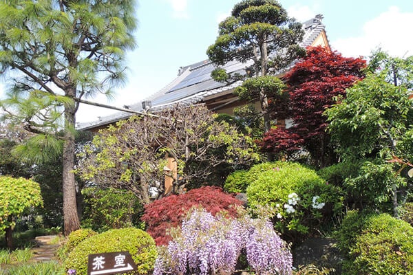 4月の庭園樹木、花