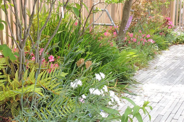 5月の庭園樹木、花