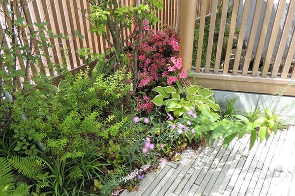 5月の庭園樹木、花