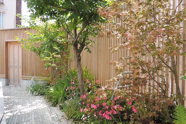 5月の庭園樹木、花