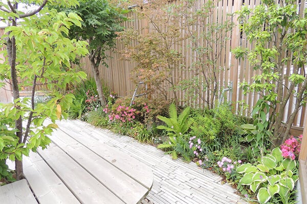 6月の庭園樹木、花