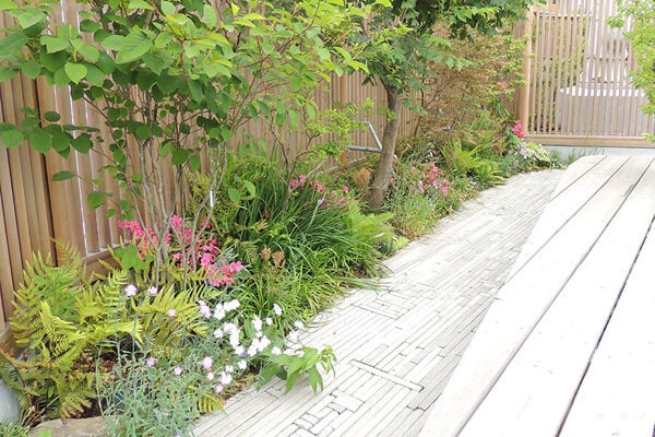 6月の庭園樹木、花