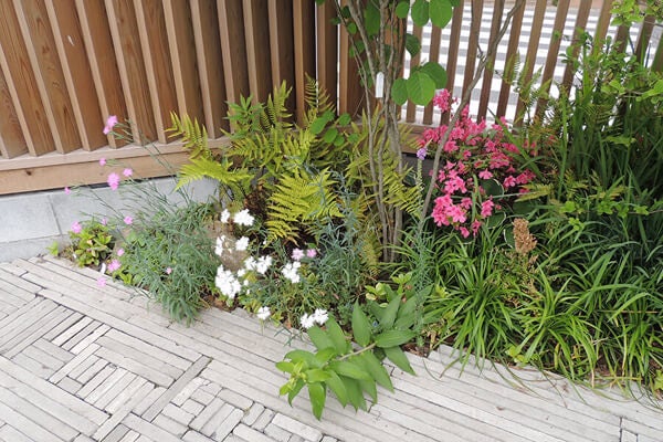 6月の庭園樹木、花