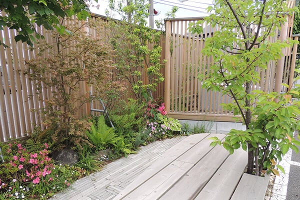 6月の庭園樹木、花