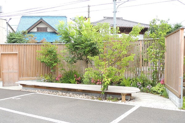 6月の庭園樹木、花