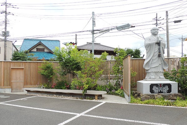 6月の庭園樹木、花