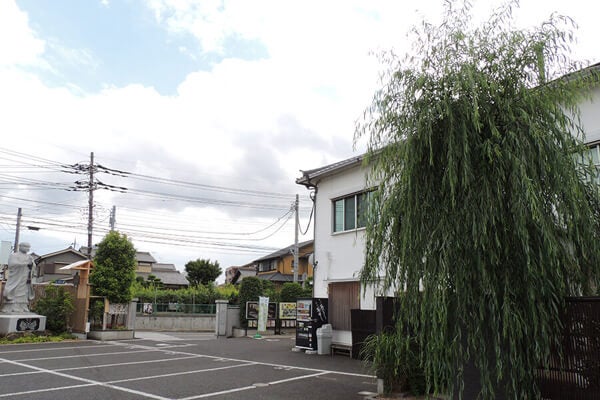 6月の庭園樹木、花