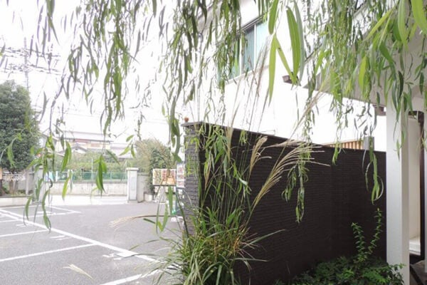 10月の庭園樹木、花